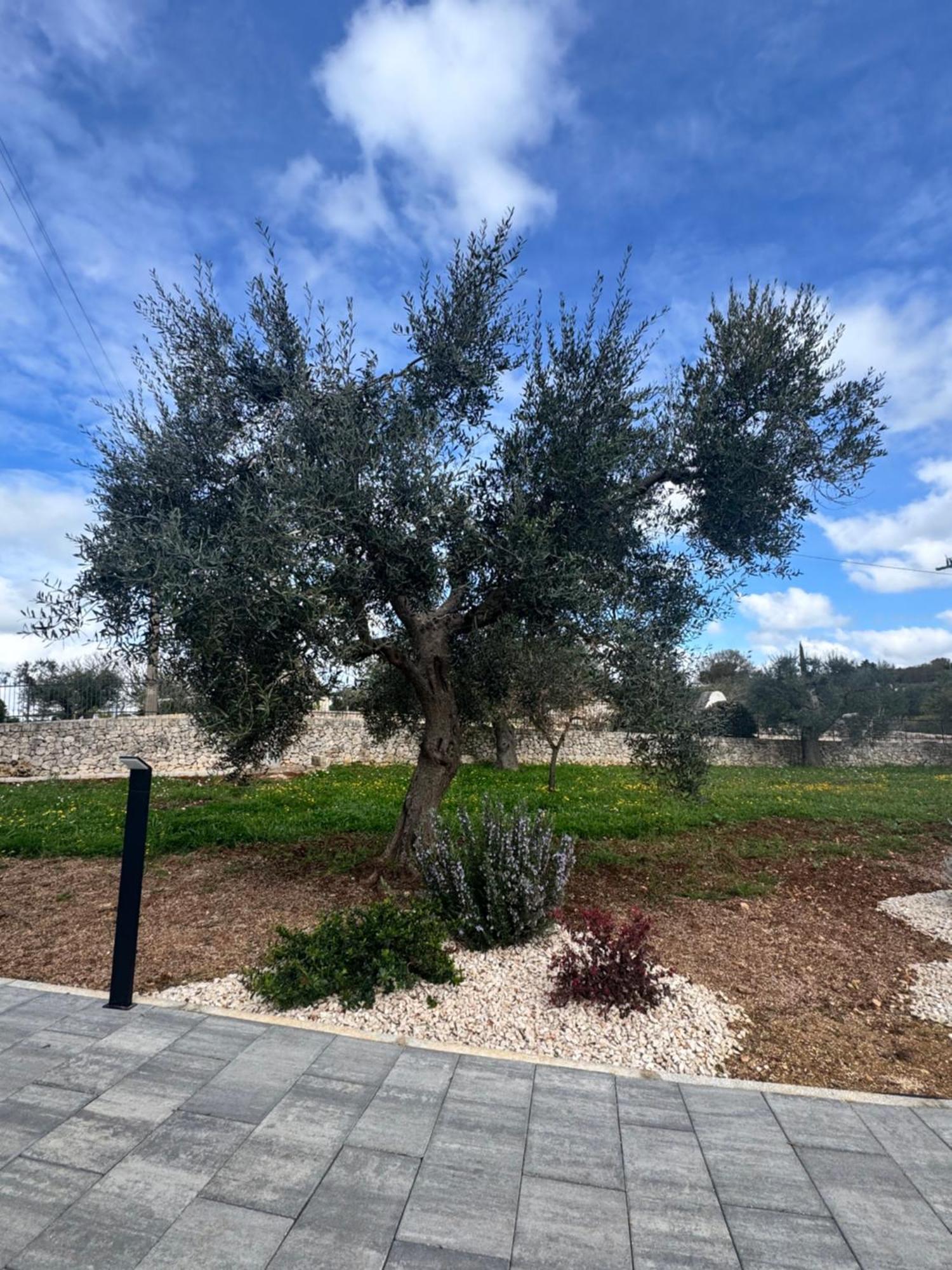 Alberobbe Luxury Rooms Альберобелло Екстер'єр фото